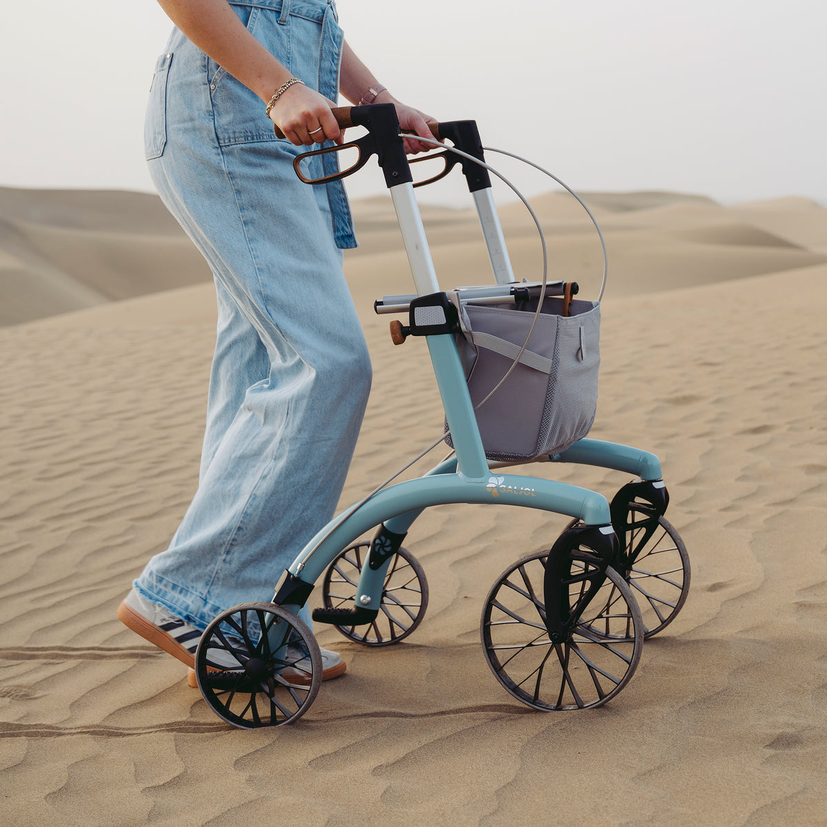 Gehen Allround Rollator Superlight