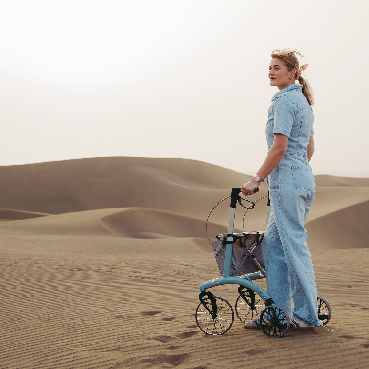 #color-ice-blue;Highlight Allround Rollator Superlight