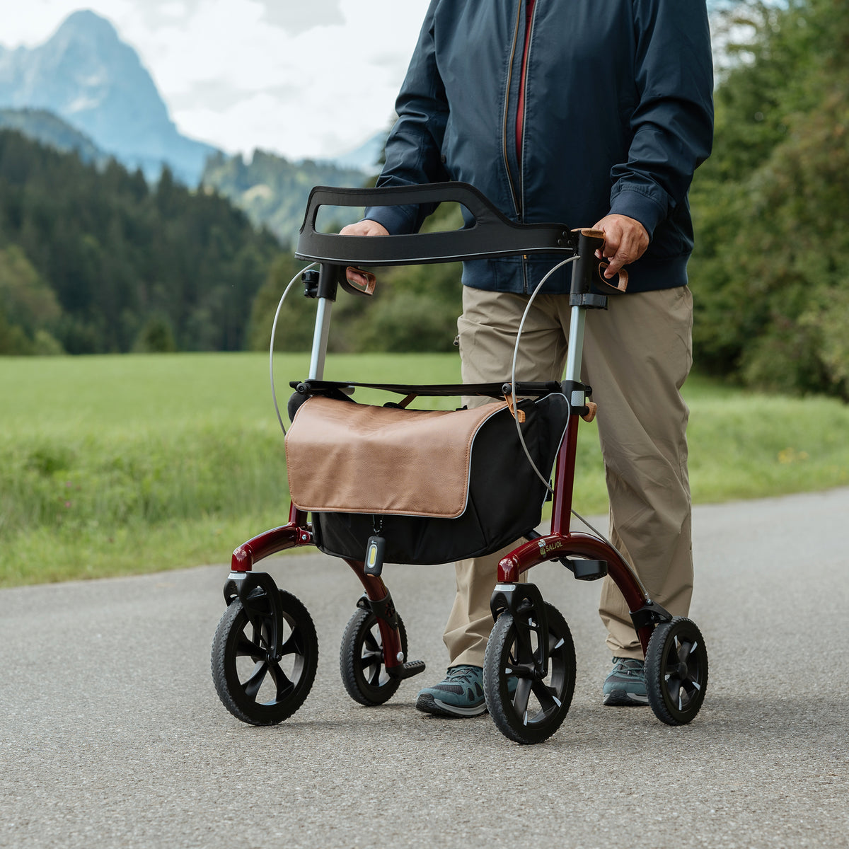 #color-barolo-red;#size-xl;Detail Allround Rollator Barolo Red