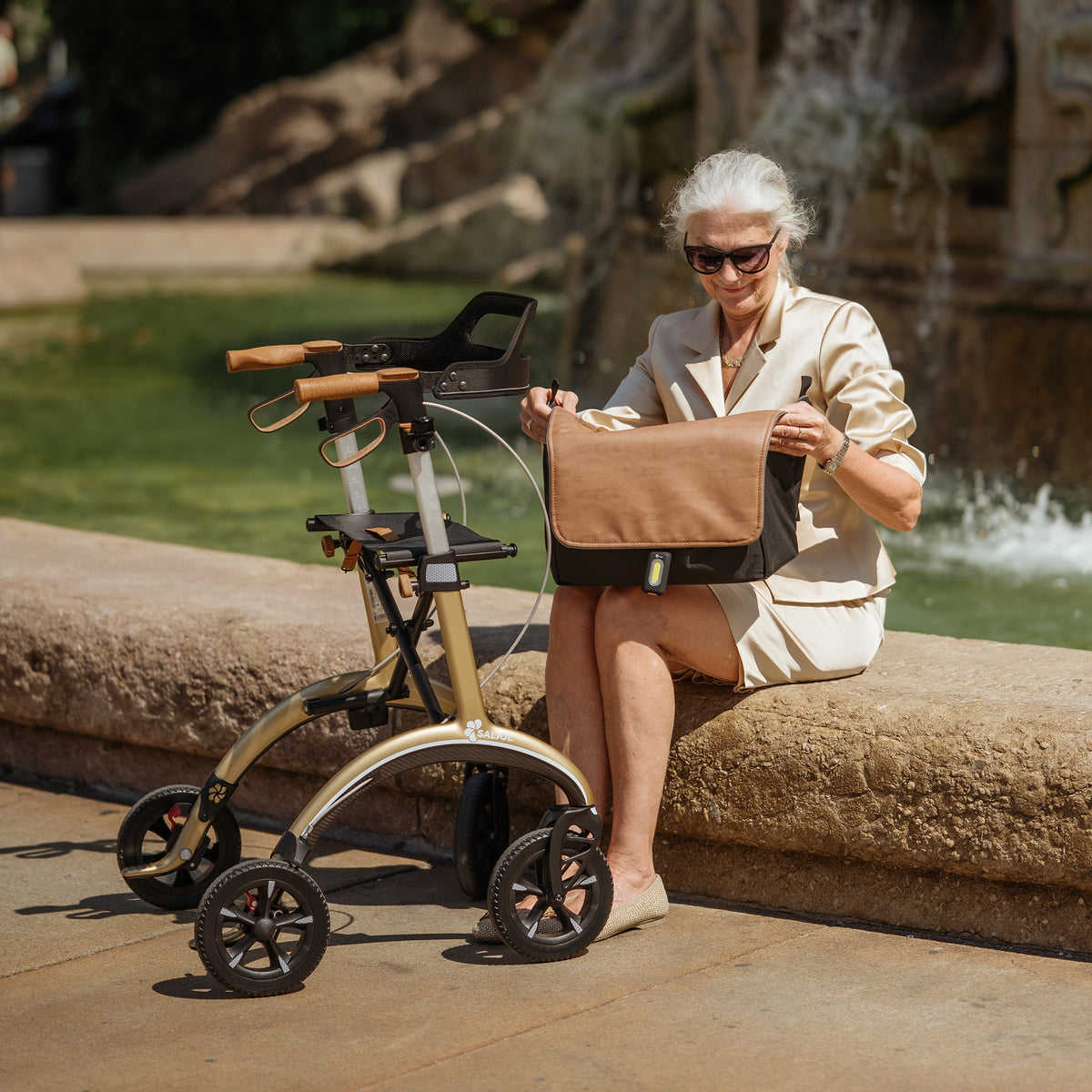 Große abnehmbare Tasche des Carbon Rollator Pure Gold