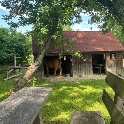 Wandern mit Rollator: Jexhof