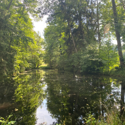 Wandern mit Rollator: Jexhof