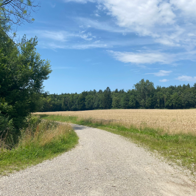 Wandern mit Rollator: Jexhof