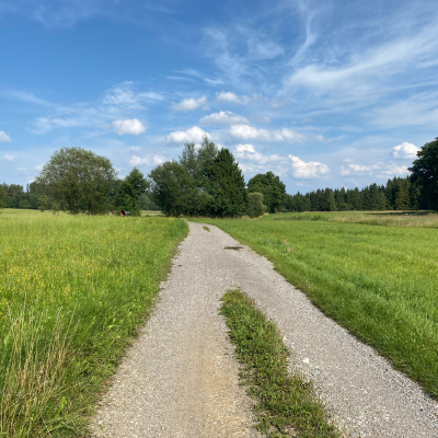 Wandern mit Rollator: Jexhof