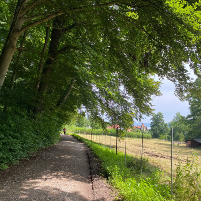 Wandern mit Rollator: Schatzbergalm