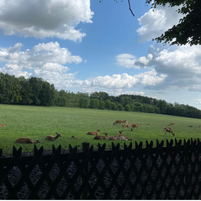 Wandern mit Rollator: Schatzbergalm