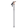 Carbon Gehstock