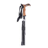 Carbon Gehstock
