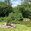 Wandern mit Rollator: Wildtierpark Poing