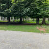 Wandern mit Rollator: Wildtierpark Poing