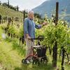 Rollator Allround in Barolo Red